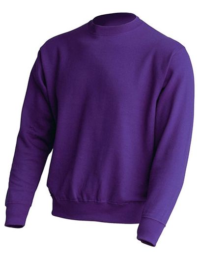 Crew Neck Sweatshirt - Purple