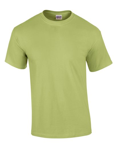 Ultra Cotton™ Adult T-Shirt - Pistachio